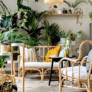 Piante da interno nocive per