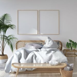 piante da camera da letto