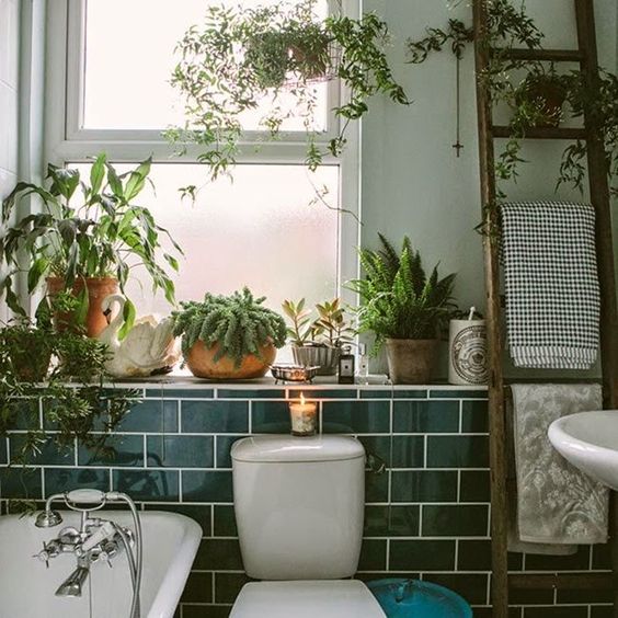 esempio di bagno con piante