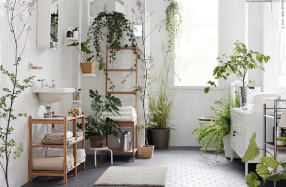 bagno con tante piante