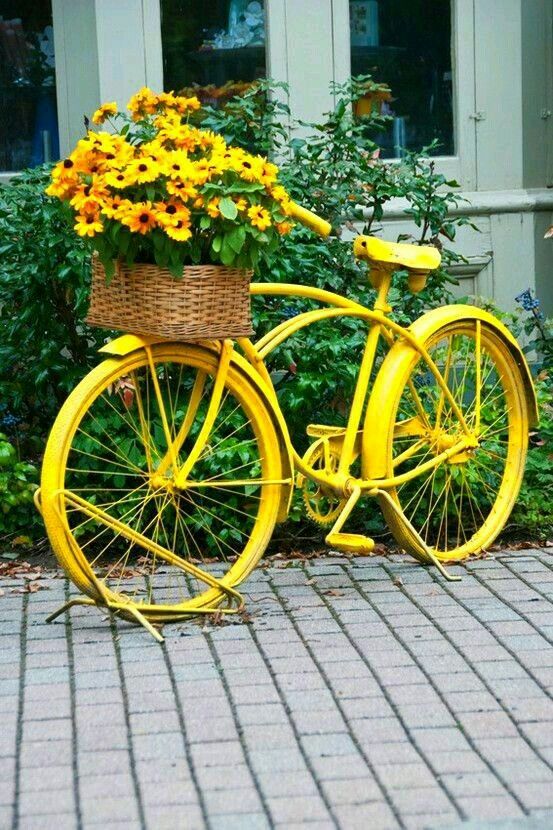 riciclare la bicicletta per arredare il girdino