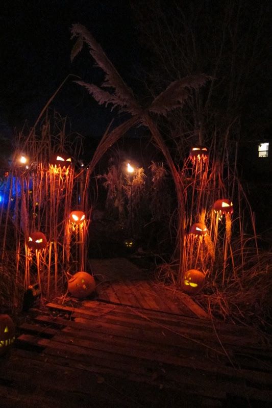 decorazioni luminose per giardino
