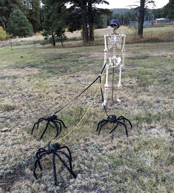 scheletri e ragni per halloween